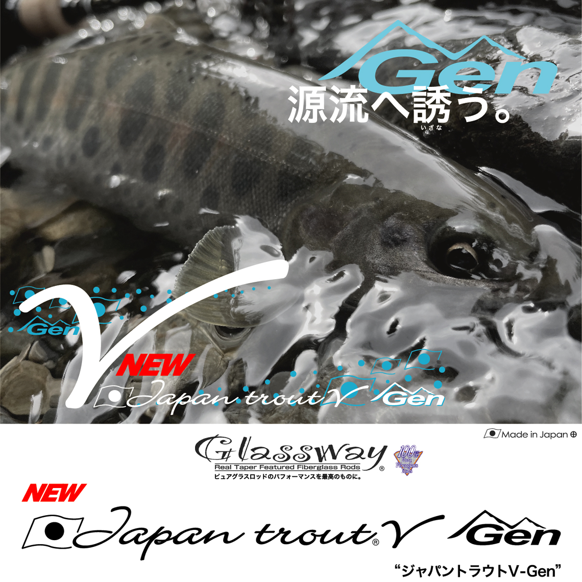 Japan trout V-Gen [NEW] - TAPER & SHAPE